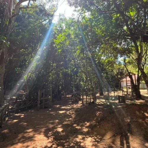 Barra do Piraí promove "Um Dia no Horto" com programação gratuita de lazer e educação ambiental